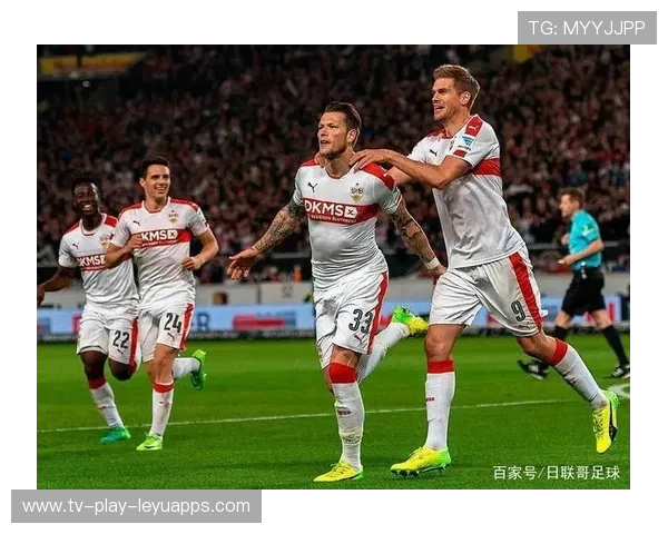 综合赛事新兴项目赛季趋势分析（480 ）